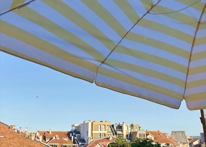 Dimoff Self Check-in Warna