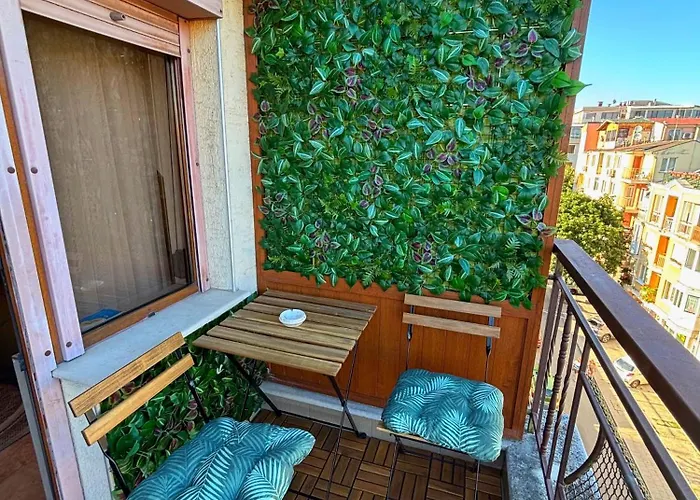 Dimoff Self Check-in * Warna